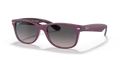 rb21326606m3_1.png