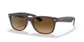 rb21326608m2_1.png