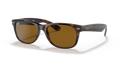 rb2132710_1.png