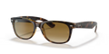 rb213271051_1.png