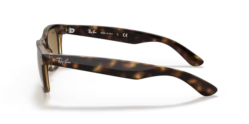 rb213271051_2.png