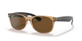 rb213294557_1.png