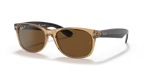 rb213294557_1.png