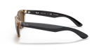 rb213294557_2.png