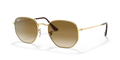 rb354800151_1.png