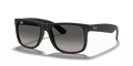 rb41656018g_1.png