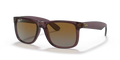 rb41656597t5_1.png