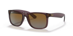 rb41656597t5_1.png