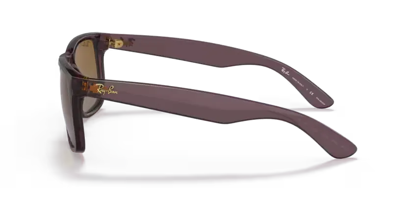 rb41656597t5_2.png