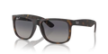 rb41658658s_1.png