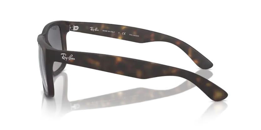 rb41658658s_2.png