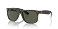 rb41658659a_1.png
