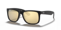 rb41656225a_1.png
