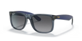 rb41656596t3_1.png