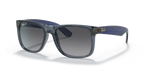rb41656596t3_1.png