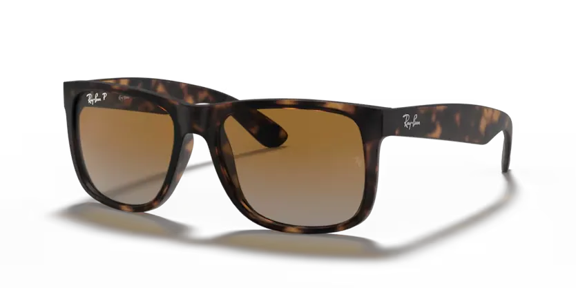 rb4165865t5_1.png