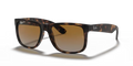 rb4165865t5_1.png