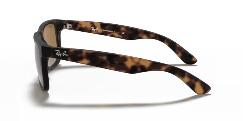 rb4165865t5_2.png