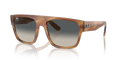 rb0360s20140371_1.png