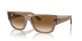 rb0947s664051_1.png