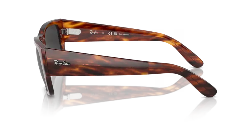 rb0947s95448_2.png