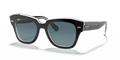 rb218612943m_1.png