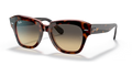 rb21861324bg_1.png