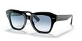 rb21869013f_1.png