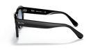 rb21869013f_2.png