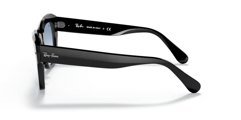 rb21869013f_2.png
