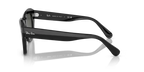 rb218690171_2.png