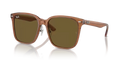 rb2206d663673_1.png