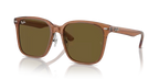 rb2206d663673_1.png