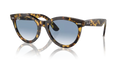 rb224113323F_1.png