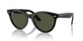 rb224190131_1.png
