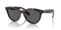 rb2241902b1_1.png