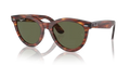 rb224195458_1.png