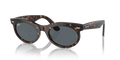 rb2242902r5_1.png