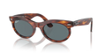 rb22429543r_1.png