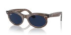 rb22421383gg_2.png