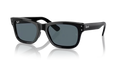 rb2283901r5_1.png