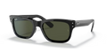 rb228390131_1.png