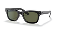 rb228390158_1.png