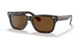 rb228390231_1.png