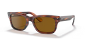 rb228395433_1.png