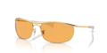rb3119m00113_1.png