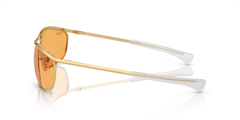 rb3119m00113_2.png