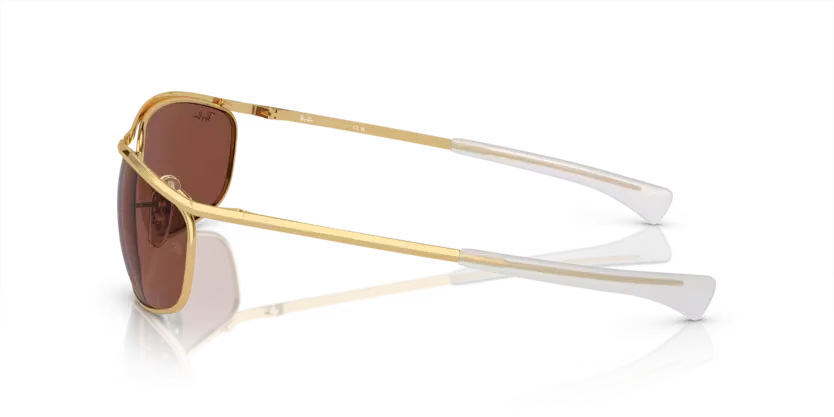 rb3119m001c5_2.png