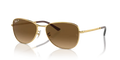 rb3733001m2_1.png
