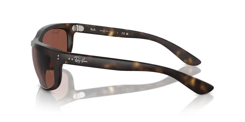 rb4089894c5_2.png